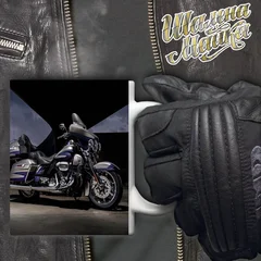 moto, bike, мото, мотоцикл